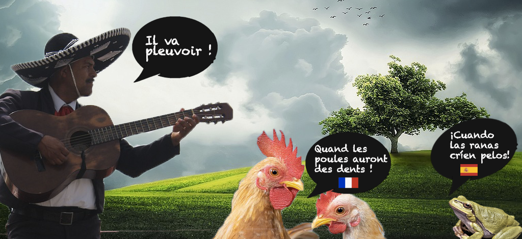 Quiz expressions espagnoles